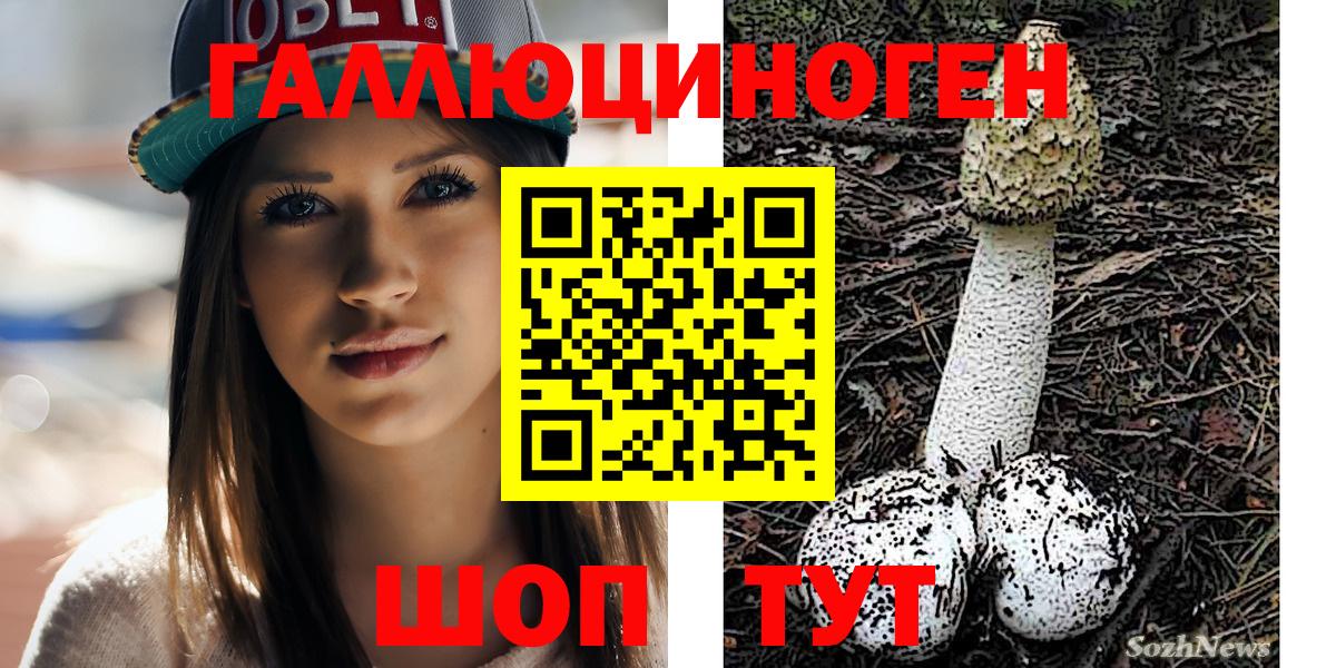Псилоцибиновые грибы Psilocybine cubensis  Вход с VPN  Галлюциногенные грибы Magic Shrooms  Кострома 